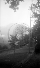 vi  488 chasse a la palombe Sare 1929  dpt 64.jpg