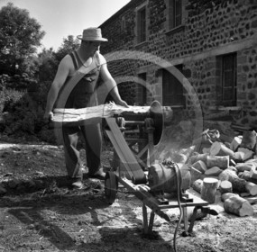 AG 544  scieur de buches .jpg