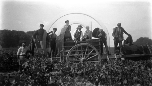 AG 239 chateau Latour 1924  .jpg