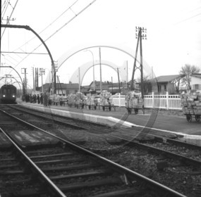 ARC 3638 expédition d'huitres 22 décembre 1966.jpg