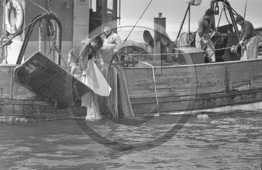 Arcachon - 4 mars 63 chalutier Gilbert Andre , Ile d'Yeu ,vue partielle 2  .jpg