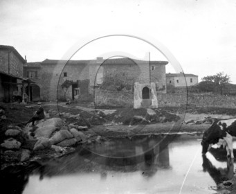 AG 606 ferme vache  .jpg