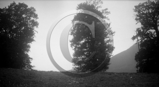 vi  493 chasse a la palombe Sare 1929 dpt 64.jpg