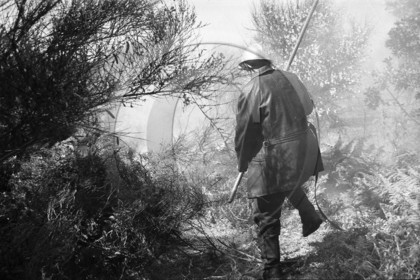 Pompiers du bassin d'Arcachon