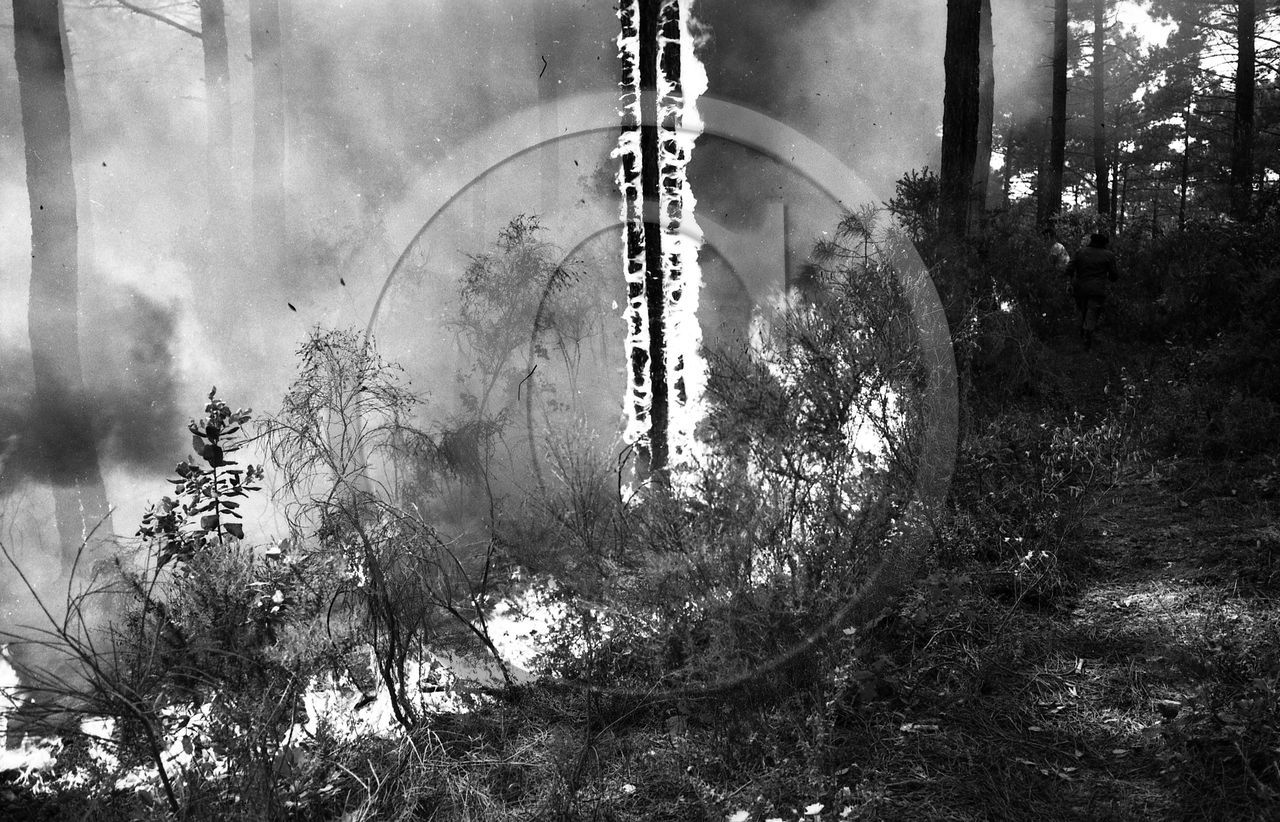 Pompiers du bassin d'Arcachon