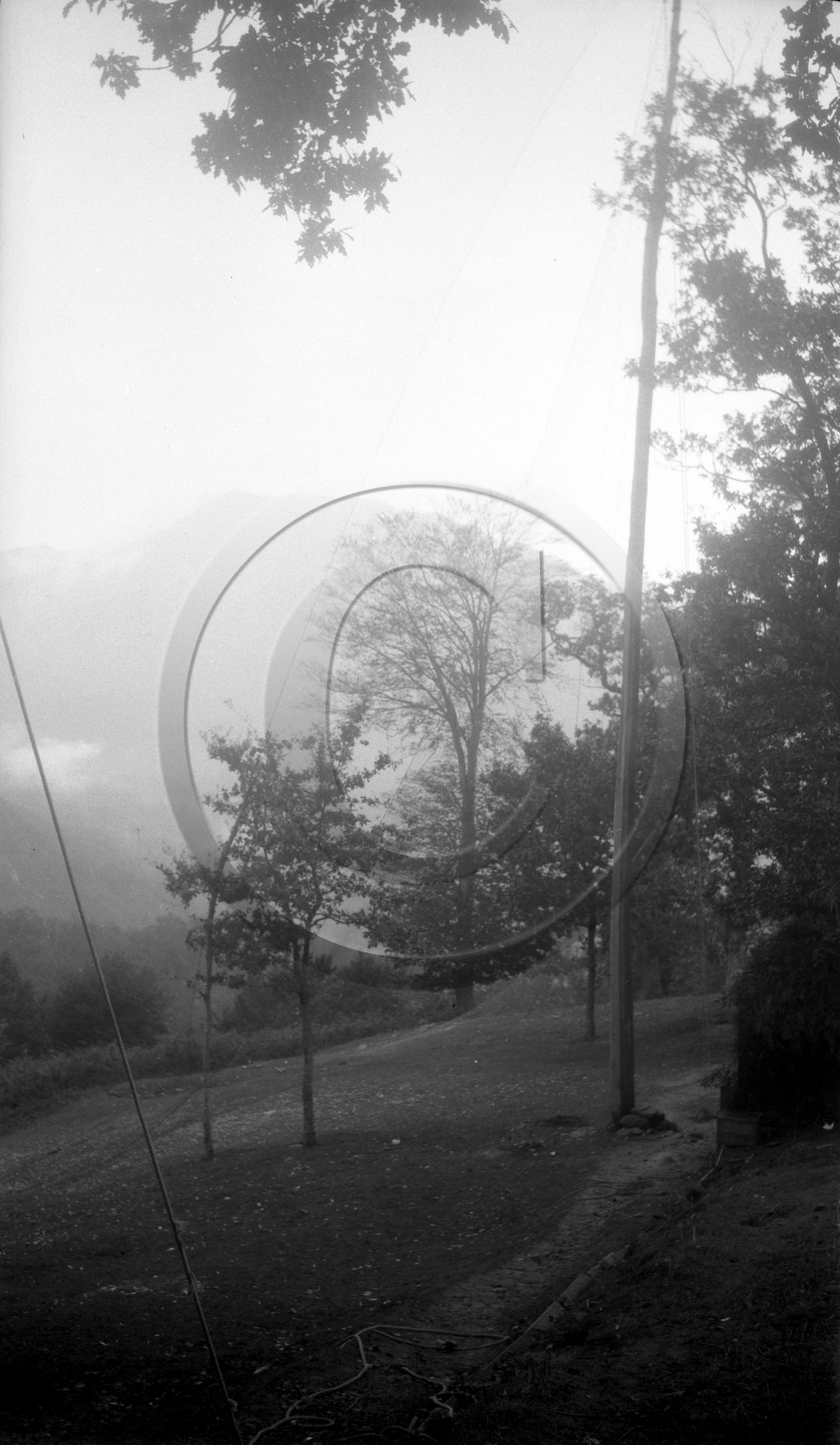 vi  488 chasse a la palombe Sare 1929  dpt 64.jpg