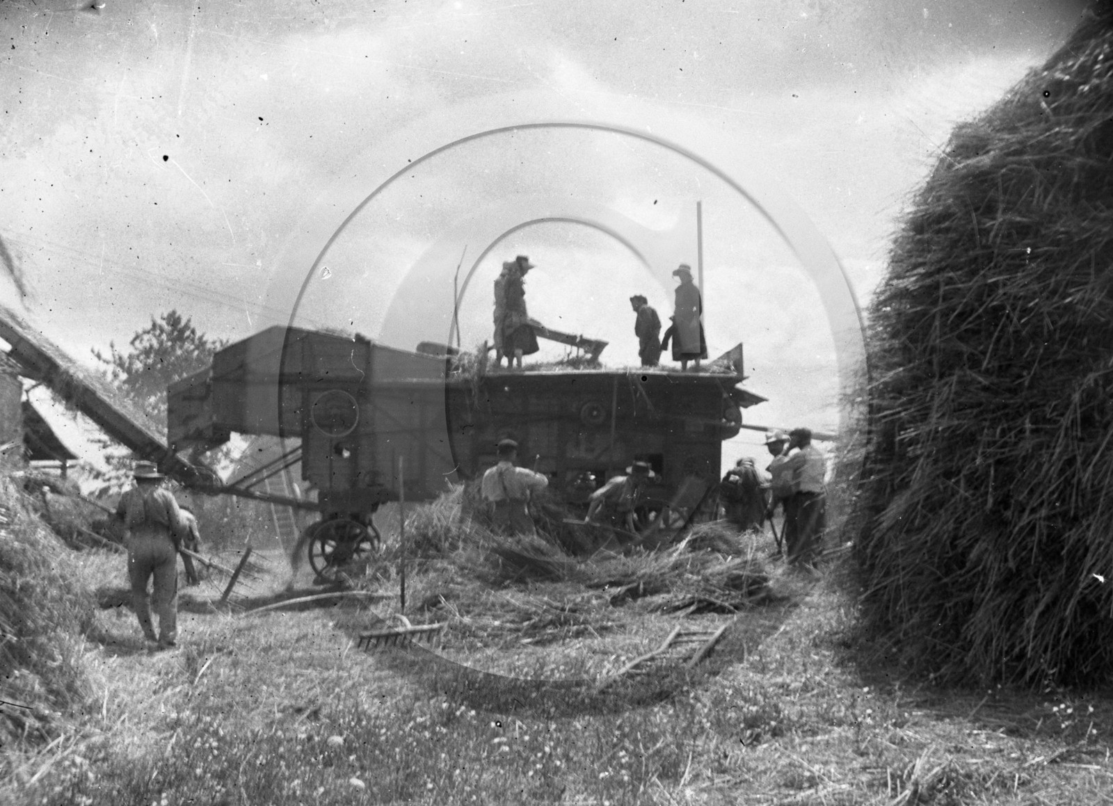 AG 735 les foins .jpg