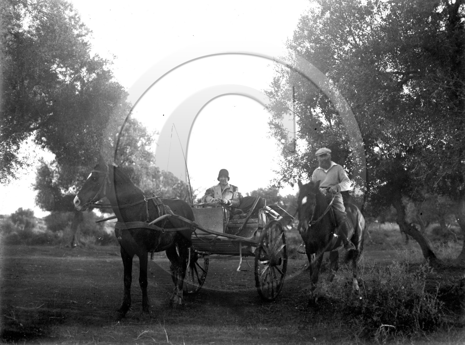 AG 717 attelage .jpg