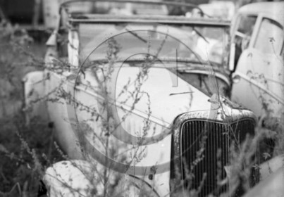 AU 209 Ford V 8 40 cabriolet spider 1934 .jpg