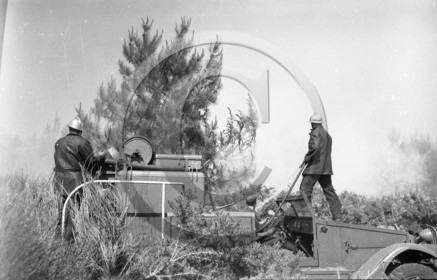 Pompiers du bassin d'Arcachon