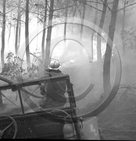 Pompiers du bassin d'Arcachon