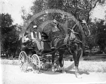 vi  101 le canet retour des champs.jpg