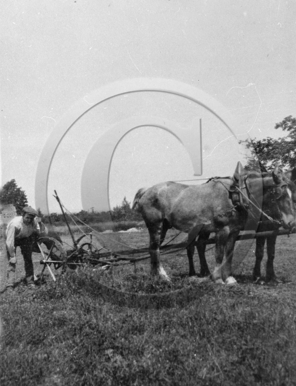 AG 603 chevaux charrue  .jpg