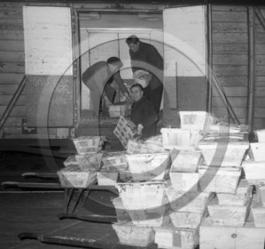 ARC 3639 expédition d'huitres 22 décembre 1966.jpg