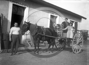 AG 628   charrette attelee devant cooperative octobre 1903 .jpg