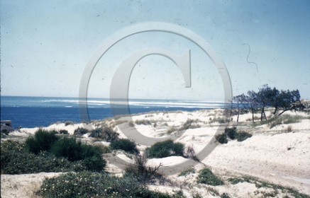 arcachon mur de l'atlantique blockhaus