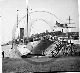 vi  94 cannes la margarita.jpg