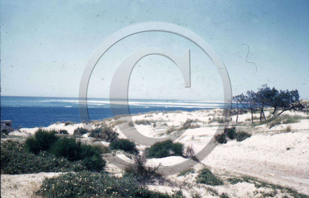 arcachon mur de l'atlantique blockhaus