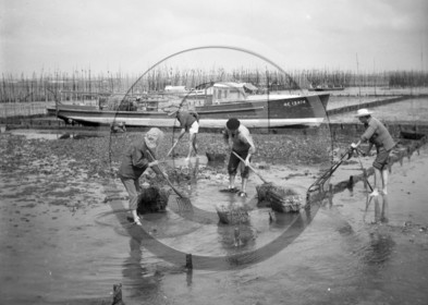 arc 2857 parc huitres .jpg