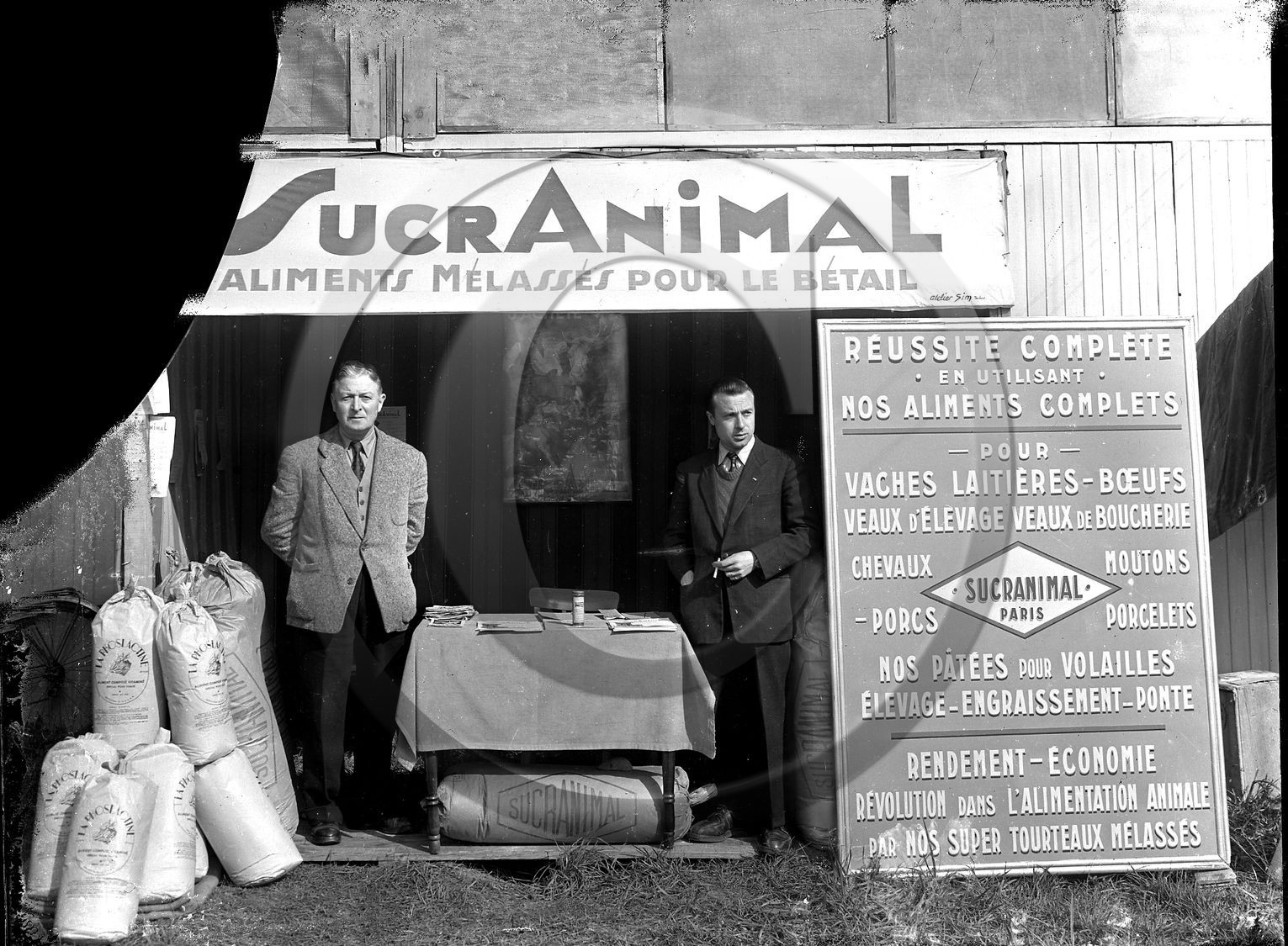 AG FOIRE SUCRANIMAL.jpg