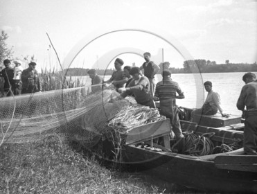 BA 1086 pêche en rivière embarquement de la senne.jpg