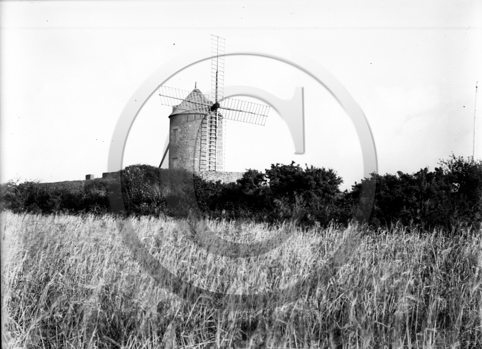 AG 757 moulin a vent est de la France .jpg