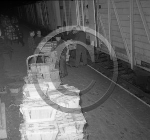 ARC 3635 expédition d'huitres 22 décembre 1966.jpg