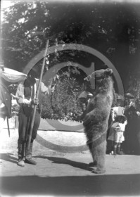 vi  90 ours  Bagneres de Luchon D 31 .jpg