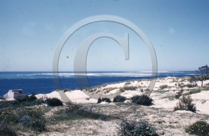 arc 1914 blockhaus dune du Pyla  .jpg