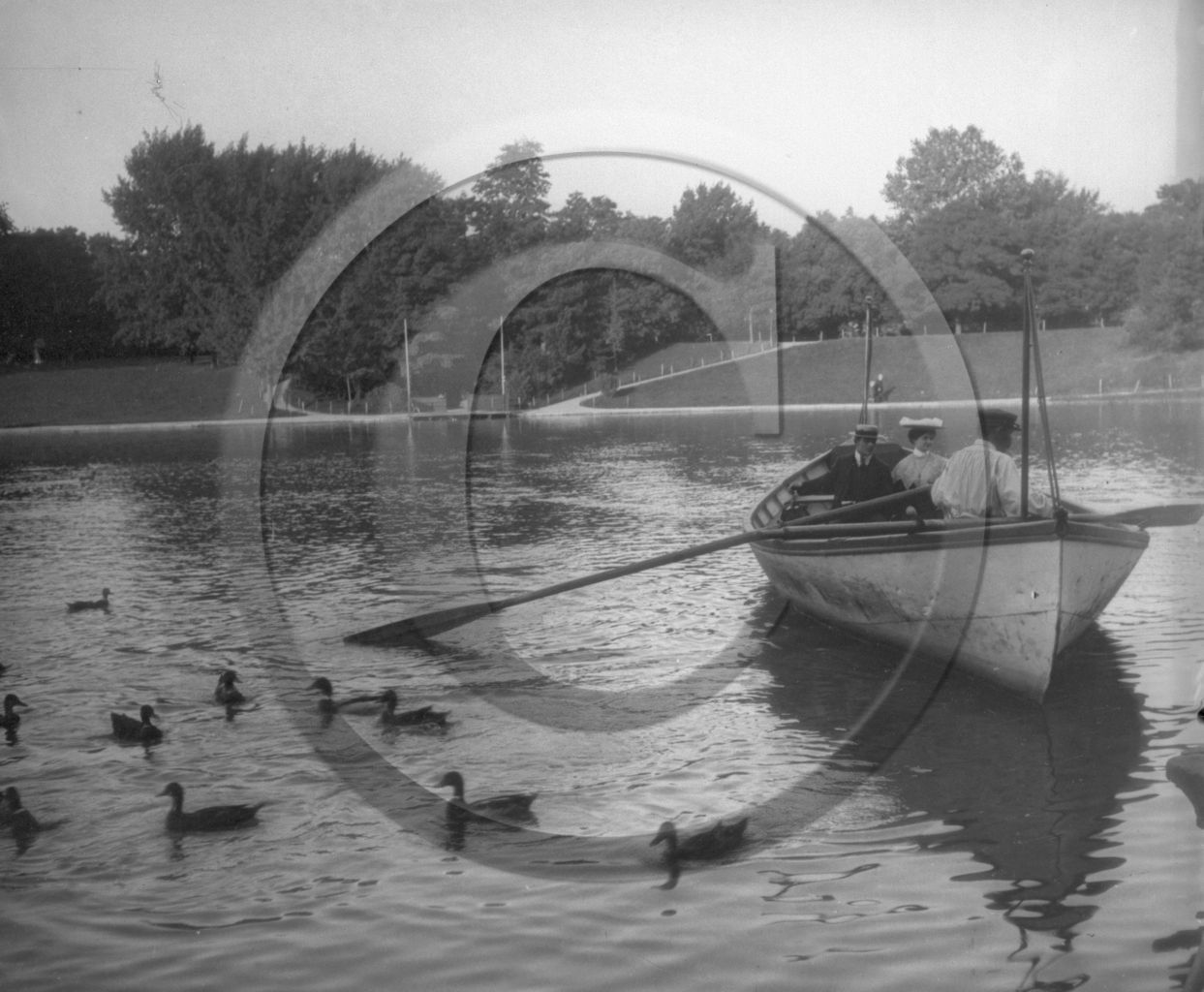 BA 1043  bois de boulogne.jpg