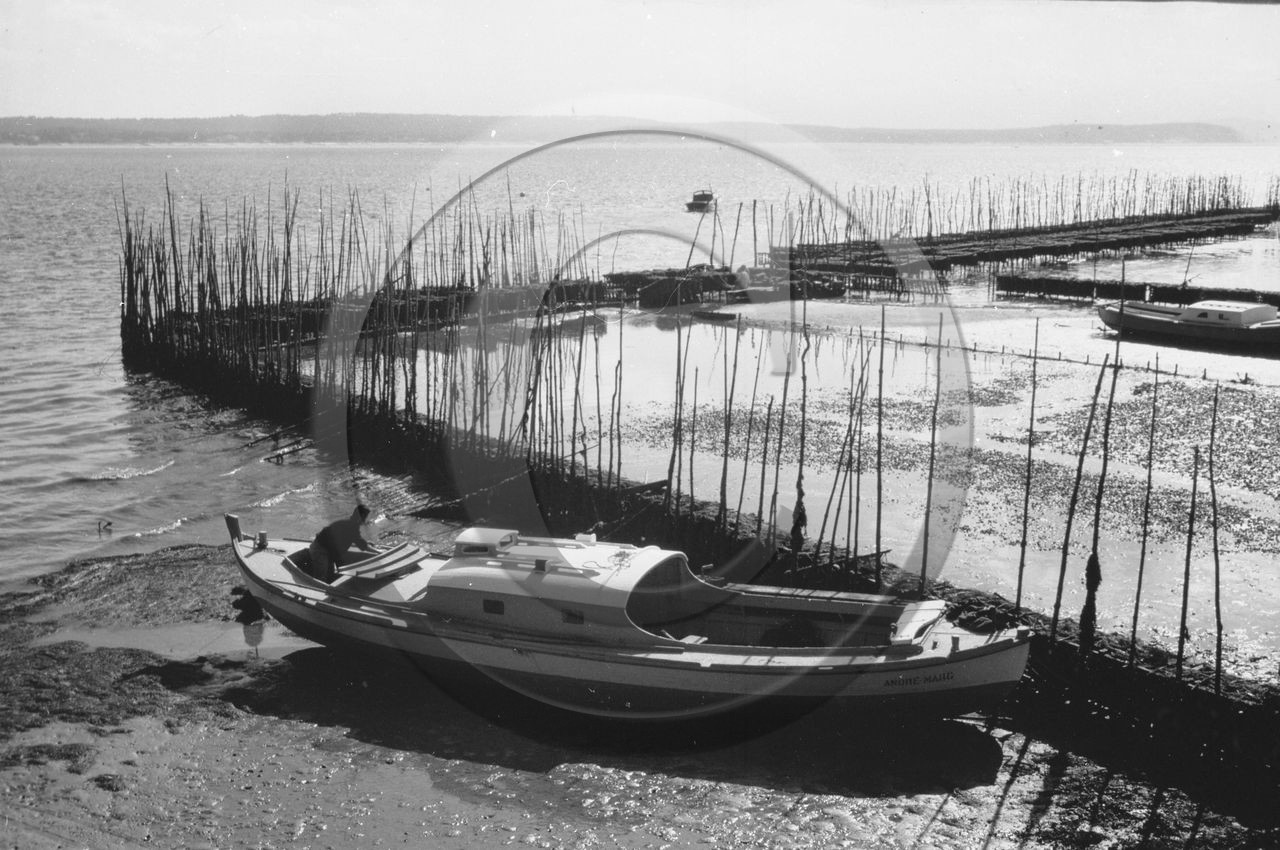 arc 1342 parc a huitres .jpg