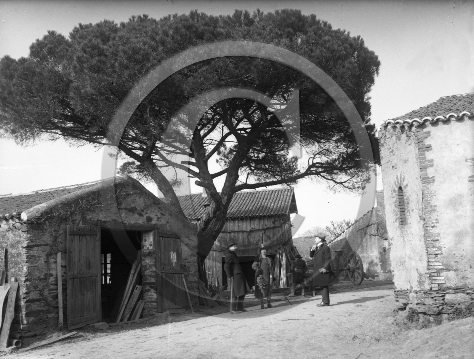 AG 640 ferme batiments .jpg