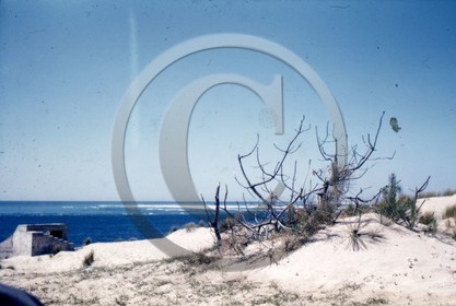 arc 1913  blockhaus dune du Pyla  .jpg