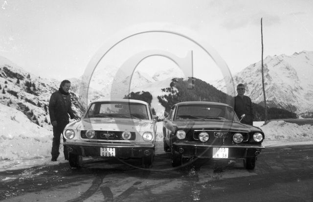 AU 490 Ford mustang coupe et fastback 1965 .jpg