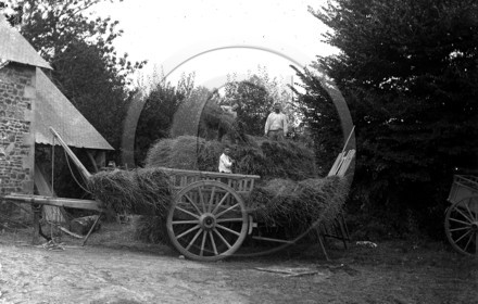 AG 739  charette de foin plaque 13x18.jpg